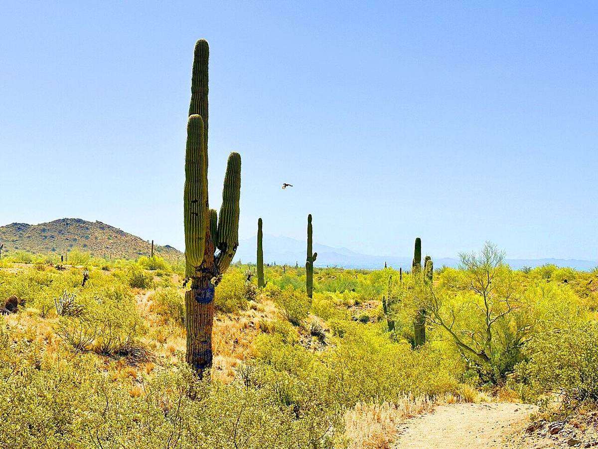 Parks and Outdoors in Buckeye, Arizona
