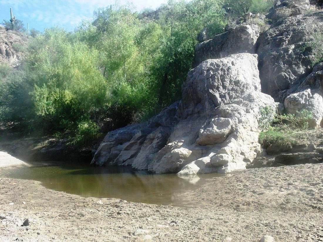 Parks and Outdoors in Peoria, Arizona