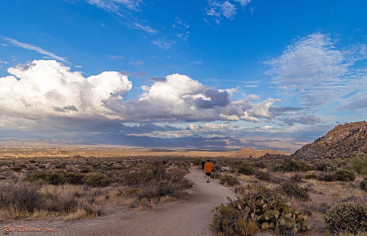 Parks and Outdoors in Scottsdale, Arizona