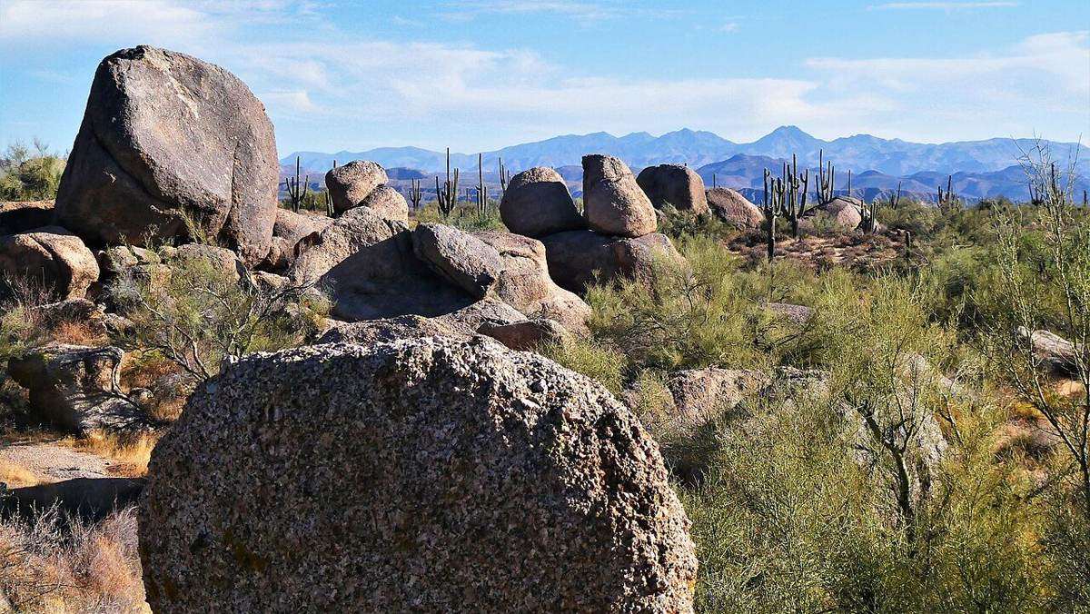 Hikers on a desert trail in the McDowell Sonoran Preserve in Scottsdale, Arizona