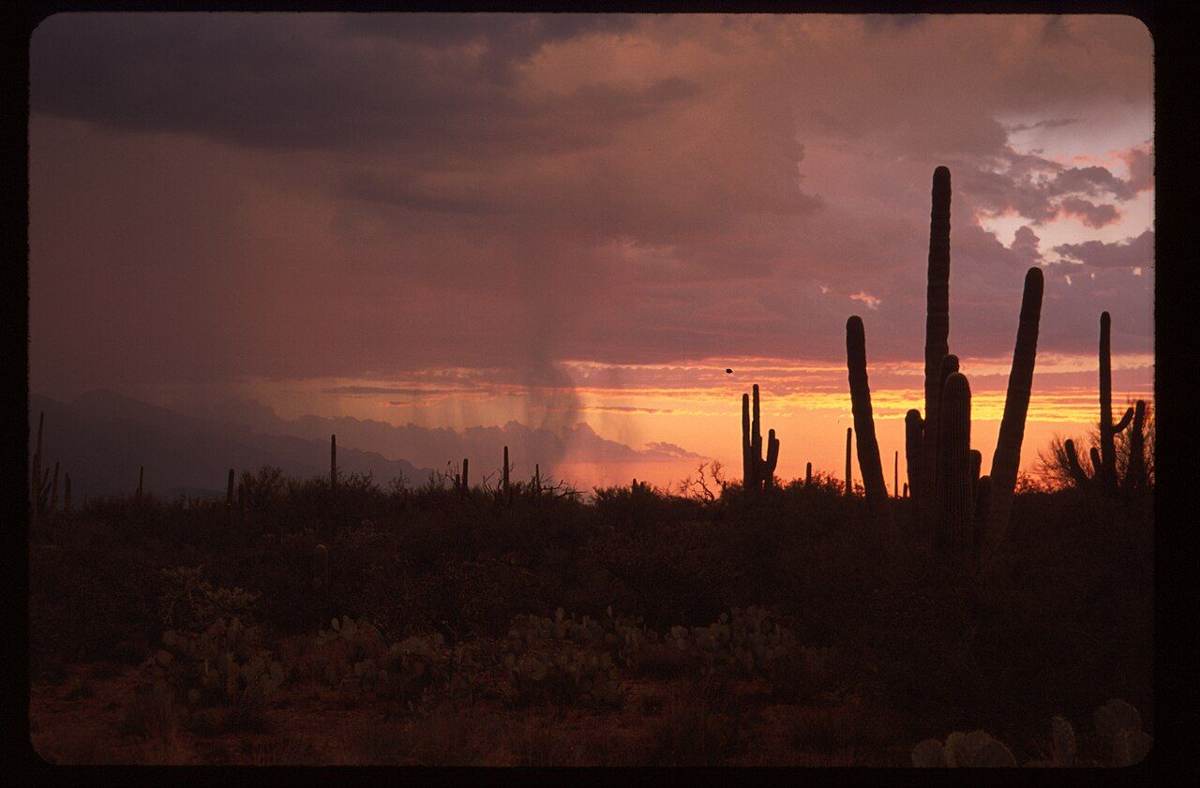 Golf and Recreation in Buckeye, Arizona